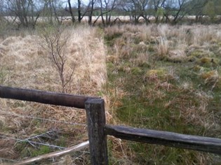 cors caron left side no grazing molinia dominated right side grazed much more diverse