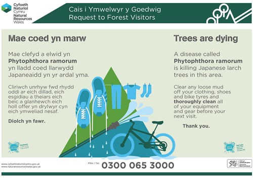 Phytophthora ramorum poster