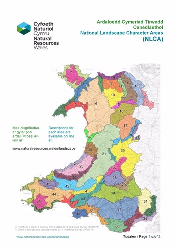 Ardaloedd Cymeriad Tirwedd Cenedlaethol