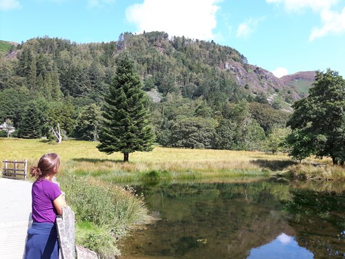 Woman looking at lake