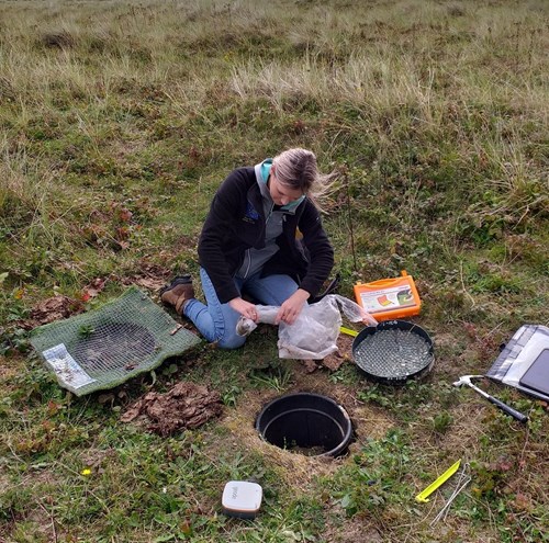 Sands of Life project and monitoring officer surveying sand rain collectors