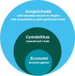 Amgylchedd, cymdeithas, economi