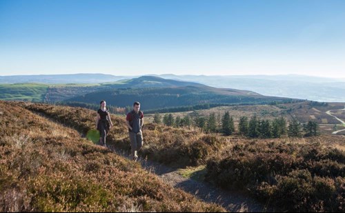 Pobol yn cerdded yng Nhoedwig Moel Famau ger Yr Wyddgrug