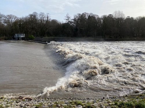 Blackweir ar Afon Taff