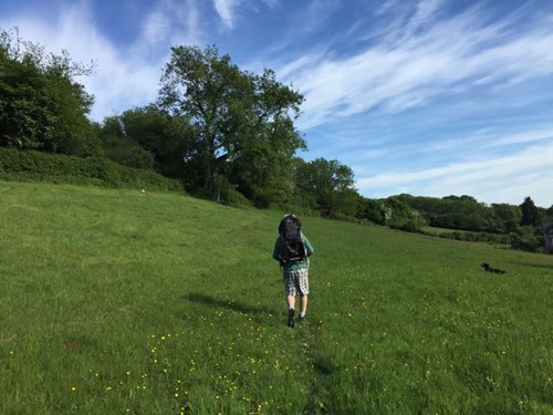 Walker in Pentyrch fields