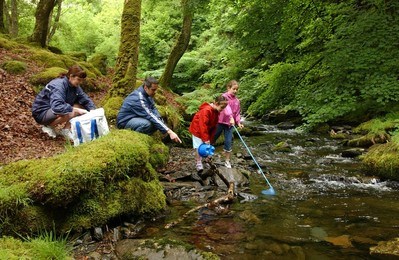 Teulu yn pysgota mewn coetir cymunedol Rhaeadrau Dolgoch, Tywyn, Meirionnydd