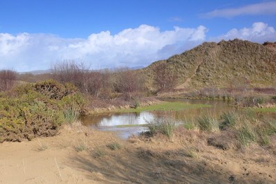 Morfa Harlech