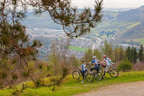 Coedwig Cwmcarn