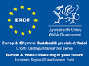 Logo for Welsh Government and ERDF Funding. Logo cyllido Llywodraeth Cymru a CDRE